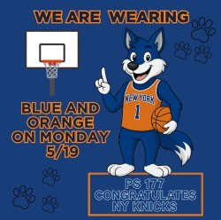 wolf, blue, orange, basketball hoop